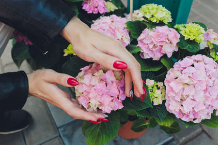 Girl touches flowering white branch with hand. Cherry blossom tree. Spring bloom of sensuality. Touch the delicacy of nature. Tender girls hand. Warmth and tenderness of nature. Spring weather.の写真素材