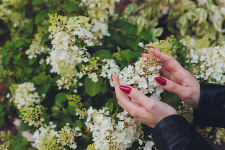 Girl touches flowering white branch with hand. Cherry blossom tree. Spring bloom of sensuality. Touch the delicacy of nature. Tender girls hand. Warmth and tenderness of nature. Spring weather.の写真素材
