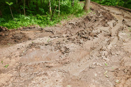 Dirty blurry dirt road with tire tracks in spring. Off-road.