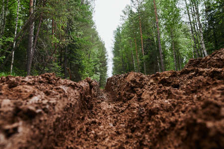 Dirty blurry dirt road with tire tracks in spring. Off-road.の写真素材