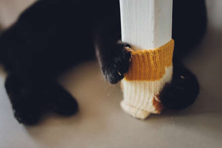 Cute cat hugs scratching post chair leg.