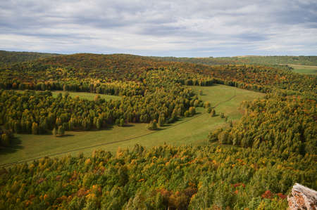 A top view of colourful forest trees and lake in the autumn season.