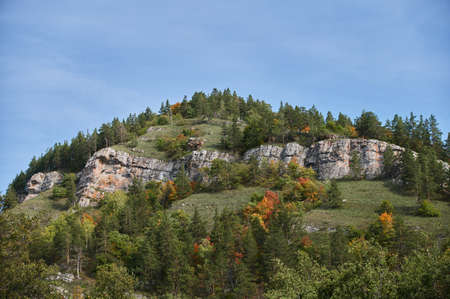 A top view of colourful forest trees and lake in the autumn season.