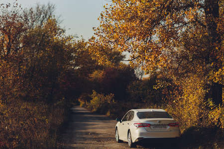 Ufa, Russia, 07-10-2020: Brand new Toyota Camry hybrid model 2020. General front view during sunset.のeditorial素材