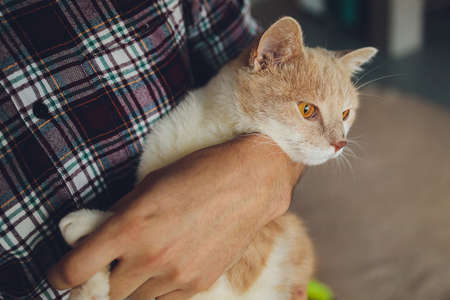 young man holding a cat in his arms.の写真素材