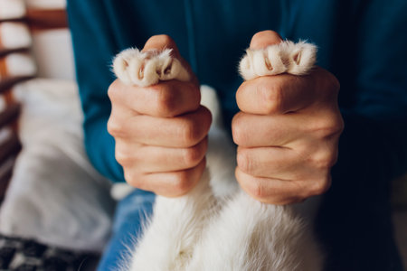 Top view of cats paws. Wooden background.の写真素材