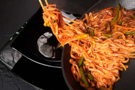 Udon with Fried Fillet of Chicken and Vegetables.の写真素材