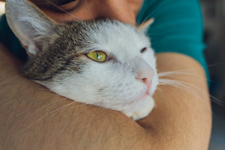 Young man in t shirt holding a cat.