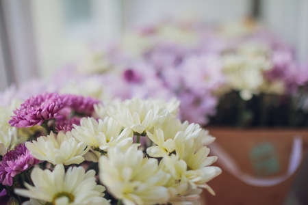 Close-up colorful spring bouquet with many different flowers jelly and white chrysanthemums,...