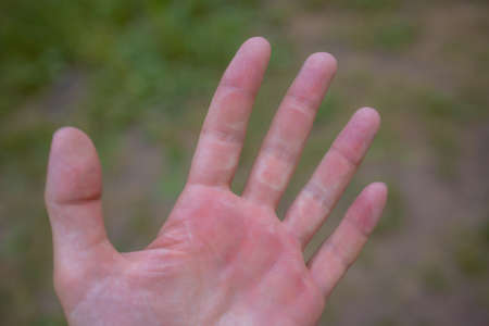 Corn in hand after work out close-up.