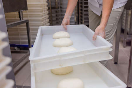 Close up of woman Kneading Pizza Dough.の写真素材
