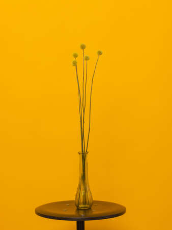 Close-up colorful spring bouquet with many different flowers jelly.の写真素材