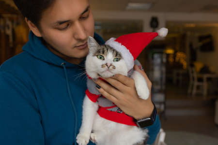Cute cat in Santa Claus hat against blurred Christmas lights.