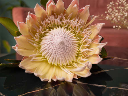 Close-up colorful spring bouquet with many different flowers jelly.の写真素材