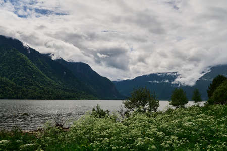Teletskoye lake in Altai mountains, Siberia, Russia. Beauty summer morning.