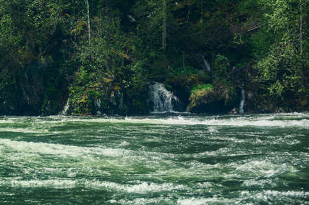 moss, water, brook, leaves, stones, nature, waterfall, landscape, mystery, tree, trunk, broken, bracken.の写真素材