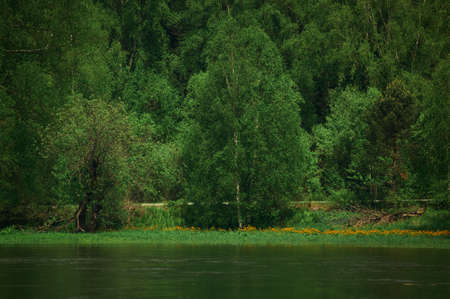 Spring in the national Park Meshchersky . Clear may day on the forest river.の写真素材