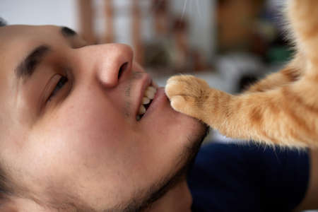 Young man in t shirt holding a cat.の写真素材