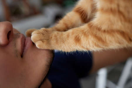 Young man in t shirt holding a cat.