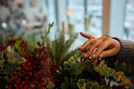 Woman gardener at home, care for home plants, greenery at home, love for plants, indoor cozy garden.の写真素材