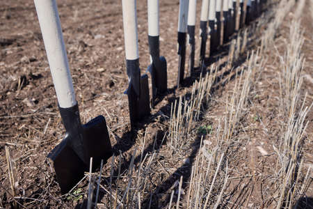 Rack with shovels near an arid field before tree planting.