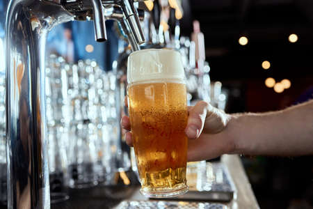 Pouring beer into a mug in a beer bar close-up. Beer bottling in the restaurant. The bar counter.