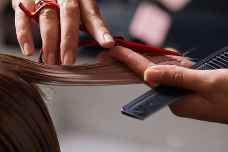 Hands of hairdresser hold hair strand between his fingers making haircut of long hair of the young...