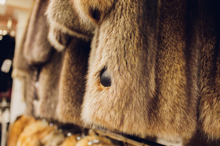 Mink coats of different colors in a shop on a hanger.の写真素材