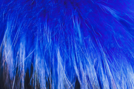 Blue artificial fur for texture or background.の写真素材