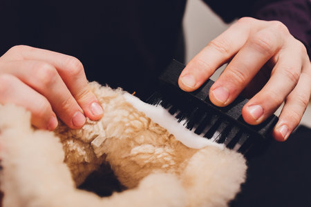 Hands cleaning mens camel suede desert shoe boot with a brush.の写真素材