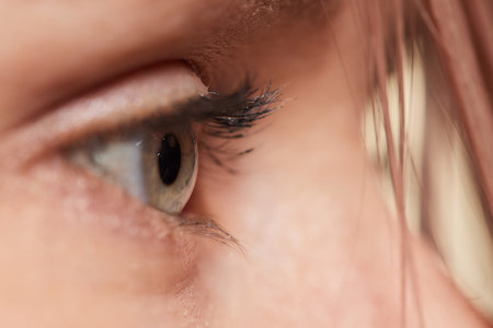 Closeup shot of woman eye with day makeup. Long eyelashes.