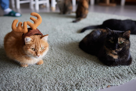 Cute cat in Santa Claus hat against blurred Christmas lights.
