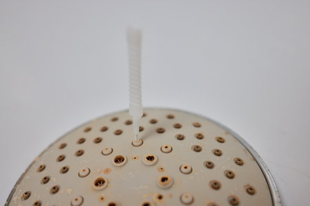 Woman or man doing chores in bathroom. Cleaning shower head