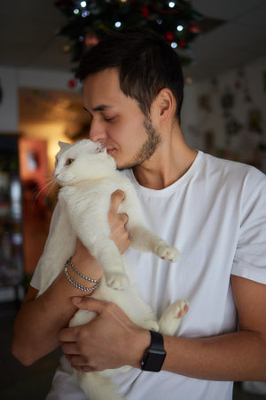 Close-up of a cat face. Portrait of a female kitten. Cat looks curious and alert. Detailed picture of a cats face.の写真素材