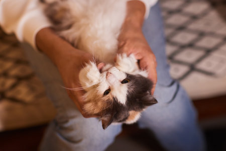 young man holding and petting cute cat maleの写真素材