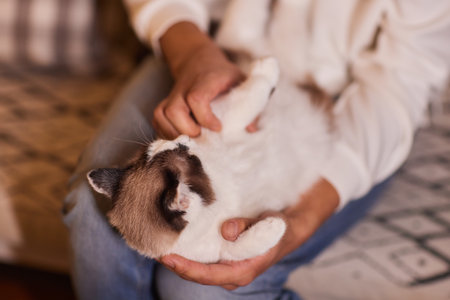 young man holding and petting cute cat maleの写真素材