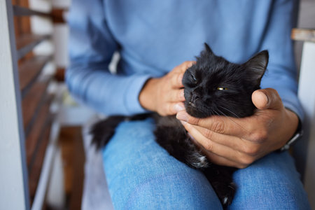 young man holding and petting cute cat maleの写真素材