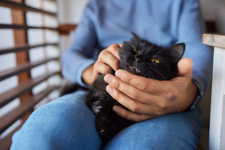 young man holding and petting cute cat maleの写真素材