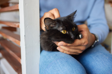 young man holding and petting cute cat maleの写真素材