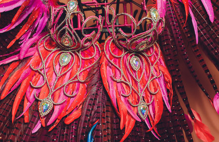 Brazilian Carnival. Dancing in bright tropical colors. Toning.Shallow depth of field.の写真素材