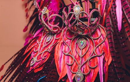 Brazilian Carnival. Dancing in bright tropical colors. Toning.Shallow depth of field.の写真素材