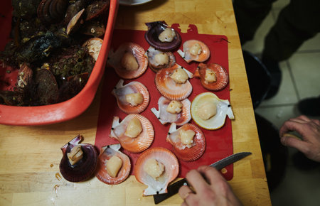 Fresh sea bivalves or clams are caught from the sea for sale in the market to be cooked for...