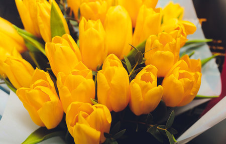 beautiful bouquet of yellow tulips on black background.の写真素材