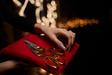 Elegant Scissors Displayed on a Luxurious Velvet Background Perfect for Special Occasionsの写真素材