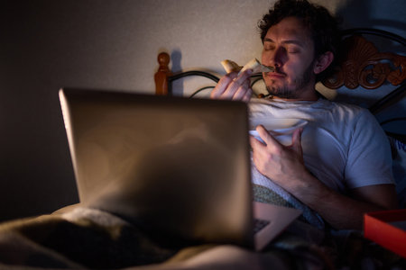 Feeling cozy in bed with a latenight snack, browsing on laptop for a relaxing timeの写真素材