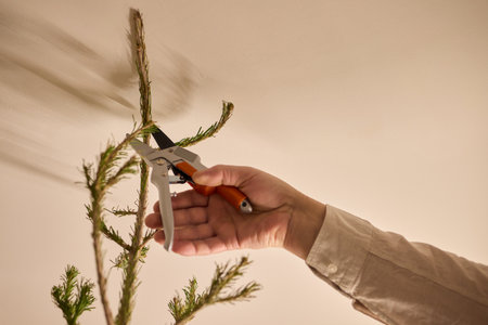 A Close Up of Needlelike Sprouts on a Branch of a Vibrant Green Plant in Natures Beautyの写真素材