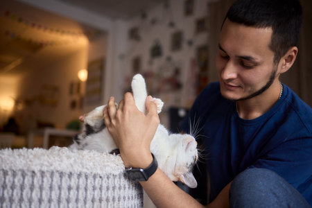 A cat with fur is lounging in a cozy cat bedの写真素材