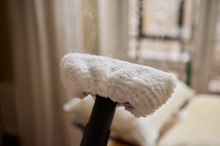 Steam Cleaning in Action An Effective Technique for Home Care and Maintenance Solutions