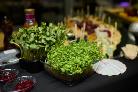 A Beautiful Arrangement of Fresh Microgreens along with Culinary Delights on a Catering Table