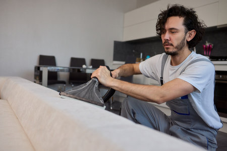Professional Upholstery Cleaning Services for a Modern Interior Space Enhancing Home Aestheticsの写真素材